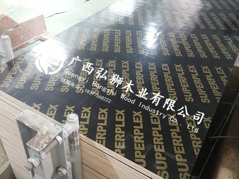 ������Ĥģ�弸��Ǯ